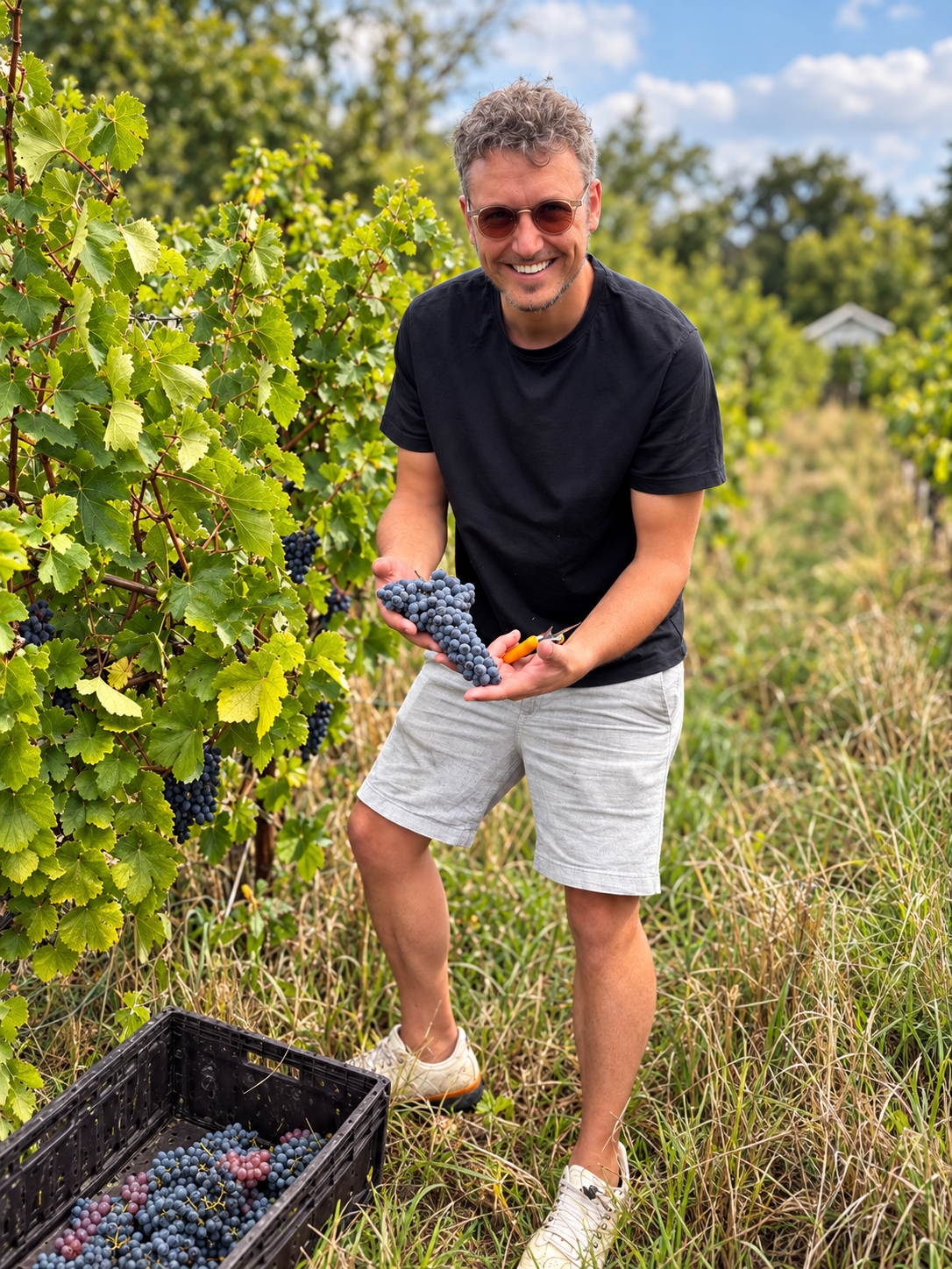 Patrick Preuß bei der Traubenlese auf seinem Weinberg